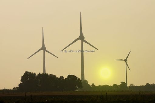 Windmühlen im Sonnenuntergang.